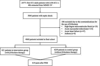 Effectiveness of β-blockers in improving 28-day mortality in septic shock: insights from subgroup analysis and retrospective observational study